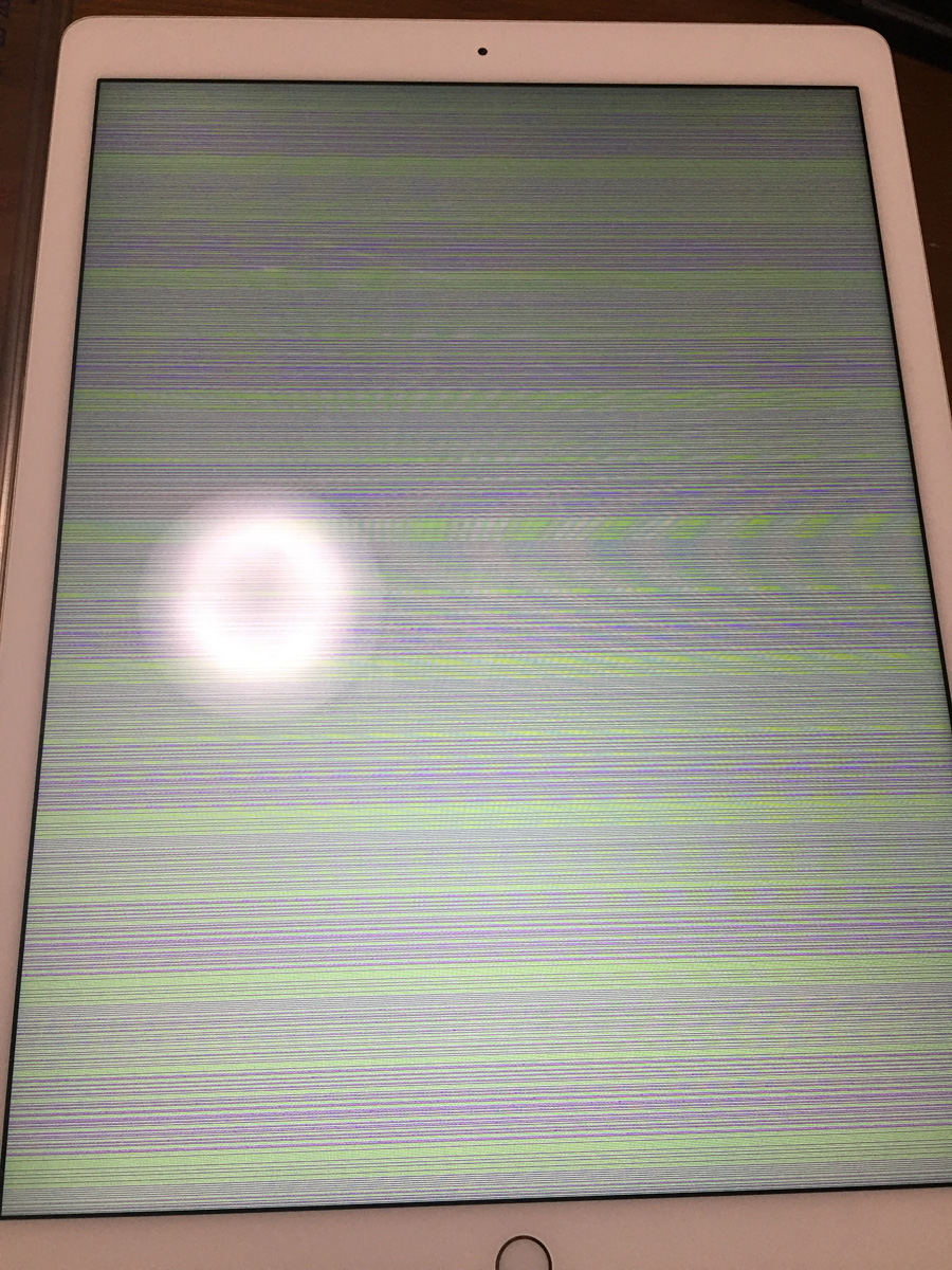 iPad pro 12.9 液晶死亡０２