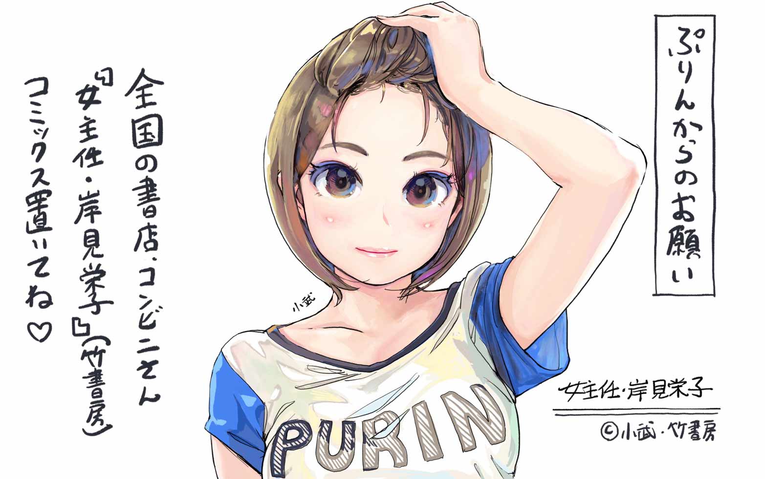 真琴ちゃんガレージキット・パッケージ