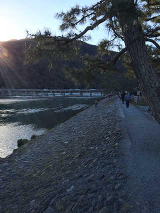 V7で京都　嵐山２