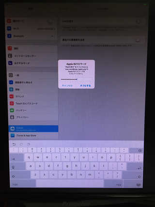 iPad pro 12.9 液晶死亡 06