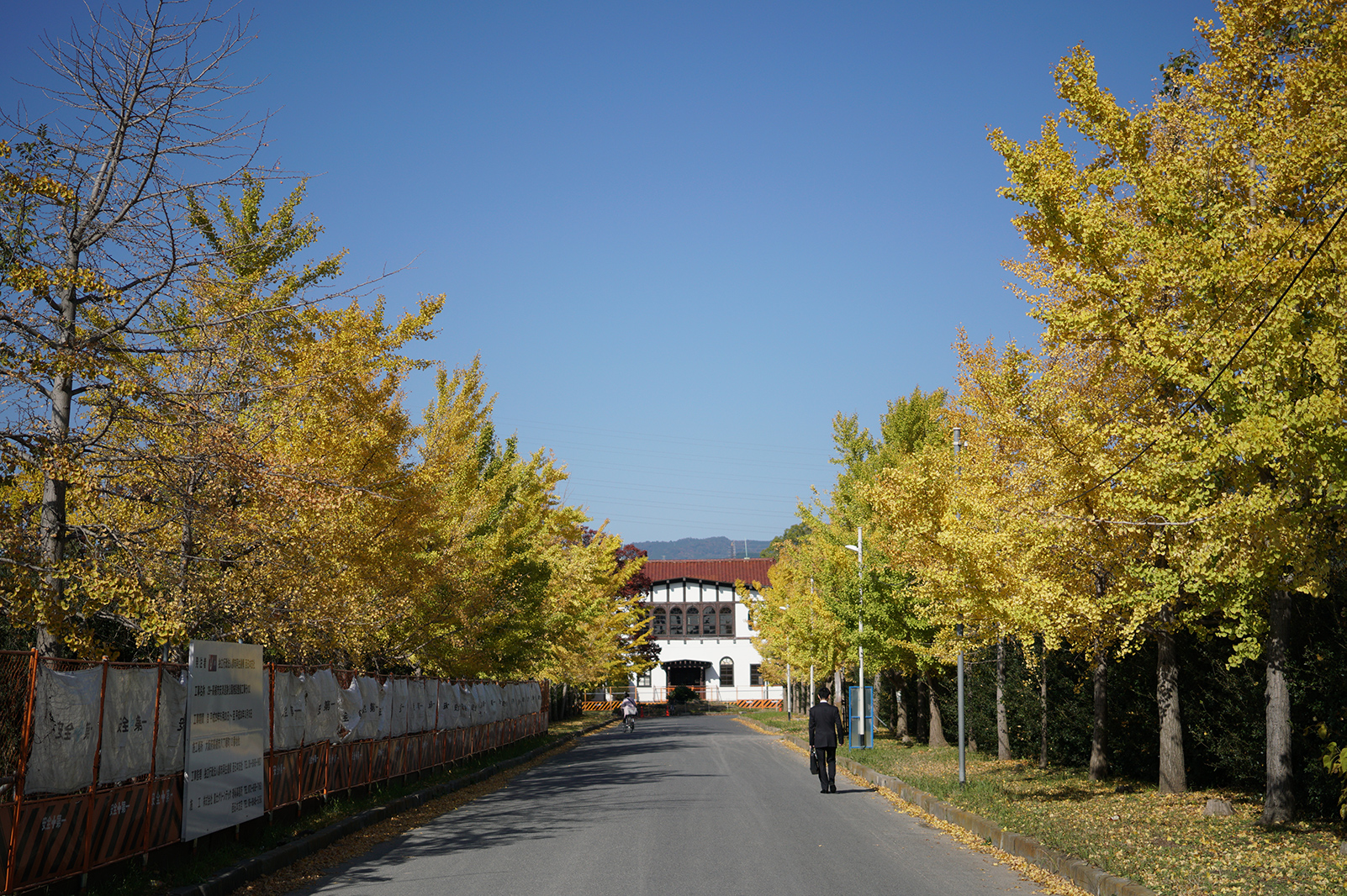 SEL35F28Z 京大キャンパス跡地