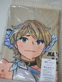 あ。日焼け真琴ちゃんの裏側の東ローマ帝国真琴が見えてるパッケージングも入ってた。交互にひっくり返すと吉！