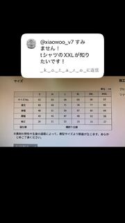シャツはこんな感じです〜